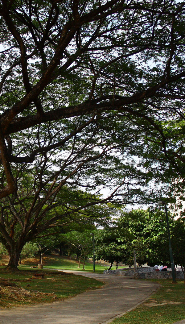 Shah Alam Lake Garden