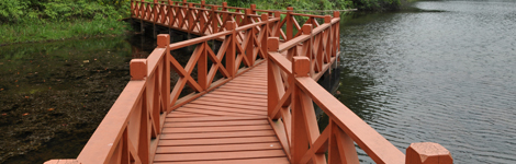 Shah Alam National Botanical Garden